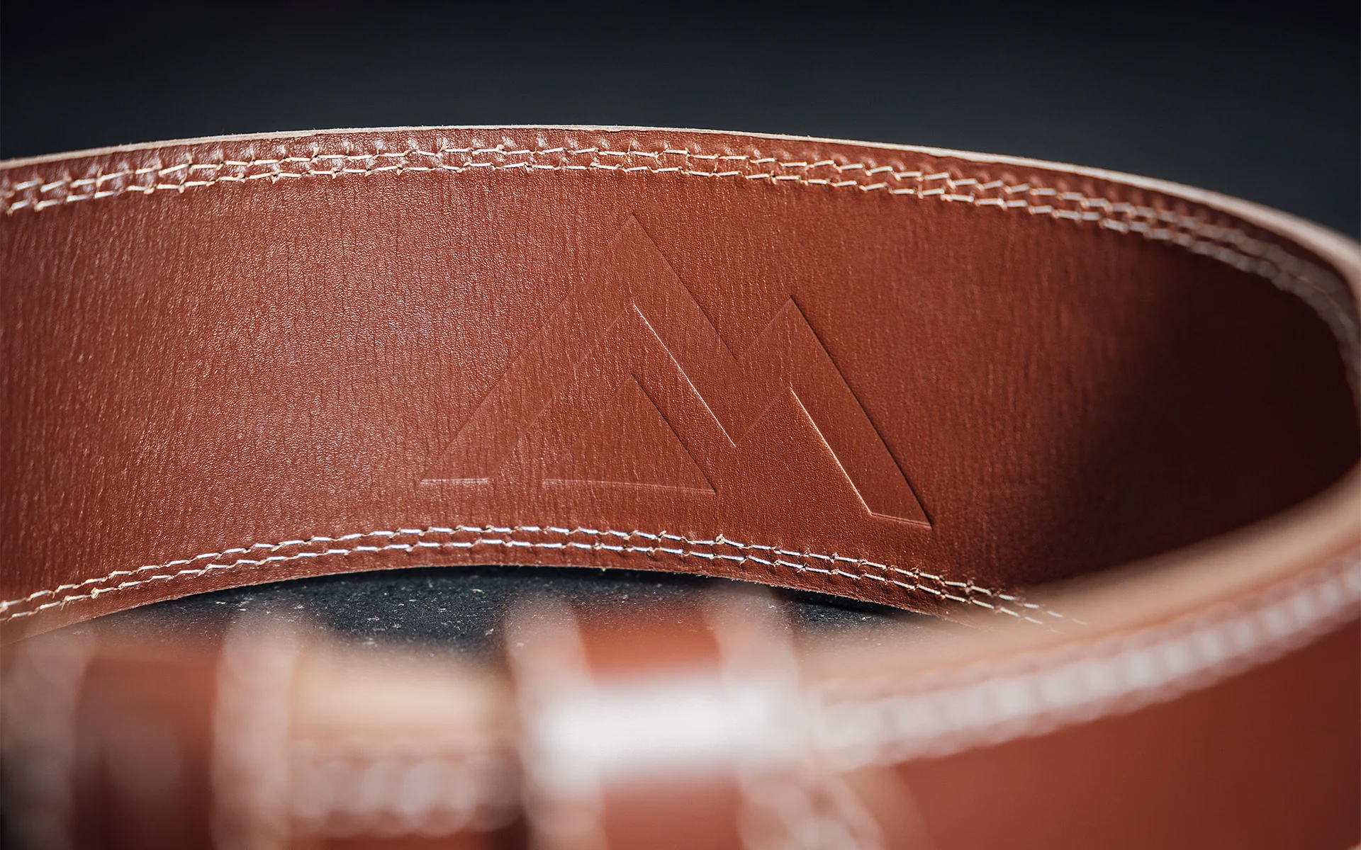 Leather Olympic Lifting Belt - Image 17