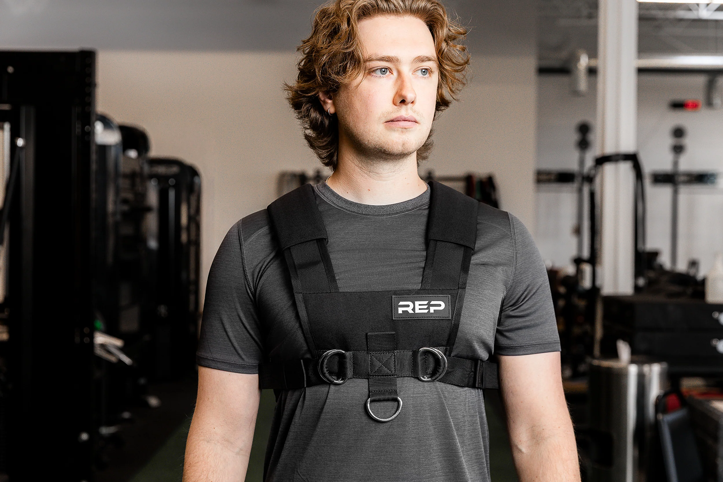 Sled Harness - Image 4
